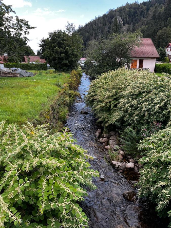 Les Ateliers Villa Gerardmer Bagian luar foto